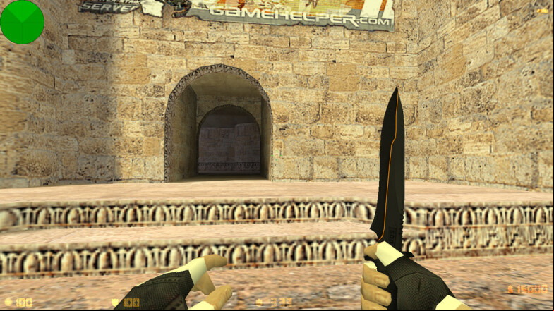  CS 1.6 Protected - A Unique Gaming Experience