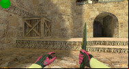 CS 1.6 Extended Arms
